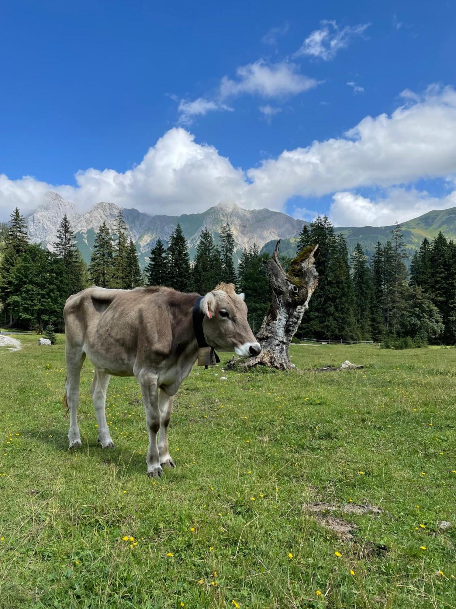 Alpenkind Mittenwald